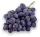 fresh-blue-grapes-isolated-on-a-white-background-PHBB52U