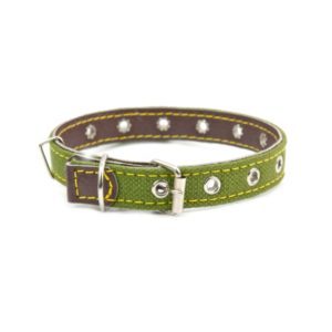 dog-collar-P92XPL5-300x300 (1)